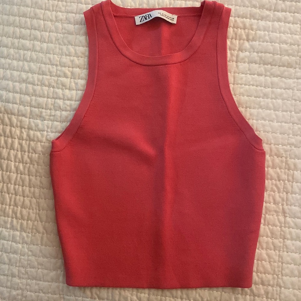 Zara Hot Pink Crop Top